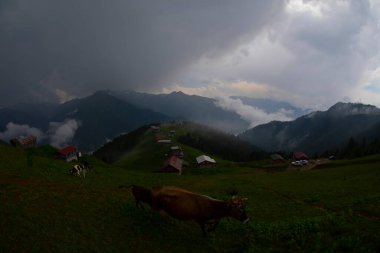 Pokut Platosu Rize Camlihemsin, Pokut Platosu Karadeniz ve Türkiye. Rize, Türkiye.