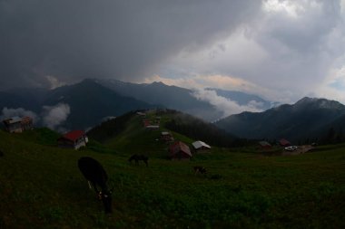 Pokut Platosu Rize Camlihemsin, Pokut Platosu Karadeniz ve Türkiye. Rize, Türkiye.