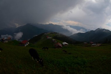 Pokut Platosu Rize Camlihemsin, Pokut Platosu Karadeniz ve Türkiye. Rize, Türkiye.