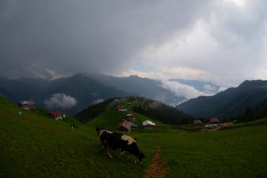 Pokut Platosu Rize Camlihemsin, Pokut Platosu Karadeniz ve Türkiye. Rize, Türkiye.