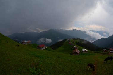 Pokut Platosu Rize Camlihemsin, Pokut Platosu Karadeniz ve Türkiye. Rize, Türkiye.