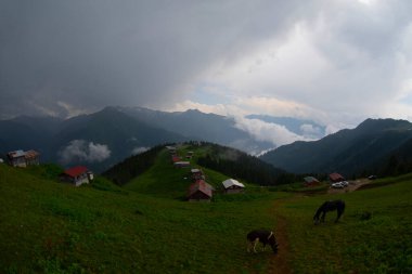 Pokut Platosu Rize Camlihemsin, Pokut Platosu Karadeniz ve Türkiye. Rize, Türkiye.