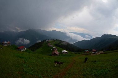 Pokut Platosu Rize Camlihemsin, Pokut Platosu Karadeniz ve Türkiye. Rize, Türkiye.