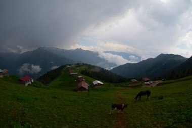 Pokut Platosu Rize Camlihemsin, Pokut Platosu Karadeniz ve Türkiye. Rize, Türkiye.