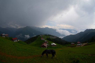 Pokut Platosu Rize Camlihemsin, Pokut Platosu Karadeniz ve Türkiye. Rize, Türkiye.
