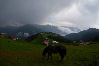 Pokut Platosu Rize Camlihemsin, Pokut Platosu Karadeniz ve Türkiye. Rize, Türkiye.