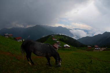 Pokut Platosu Rize Camlihemsin, Pokut Platosu Karadeniz ve Türkiye. Rize, Türkiye.