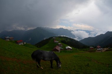 Pokut Platosu Rize Camlihemsin, Pokut Platosu Karadeniz ve Türkiye. Rize, Türkiye.
