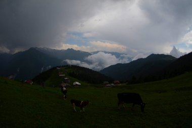Pokut Platosu Rize Camlihemsin, Pokut Platosu Karadeniz ve Türkiye. Rize, Türkiye.