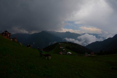 Pokut Platosu Rize Camlihemsin, Pokut Platosu Karadeniz ve Türkiye. Rize, Türkiye.