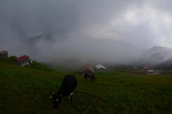 Покут Плато Rize Camlihemsin Покут Плато Черном Море Турции Ризе — стоковое фото