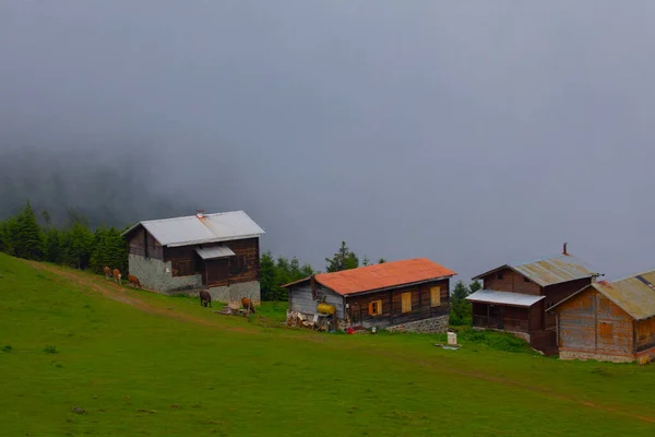 Kackar Bergen Vlot Plateau Chalets — Stockfoto