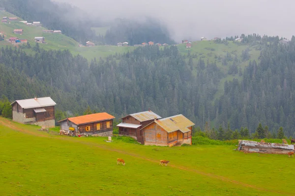 Kackar Berge Und Floßplateau Chalets — Stockfoto