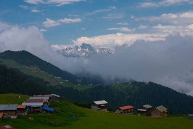 Kakar dağları ve chaletler, doğal yaşam..
