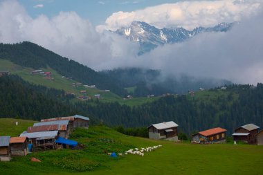 Kakar dağları ve chaletler, doğal yaşam..