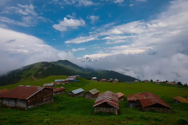 Kakar dağları ve chaletler, doğal yaşam..