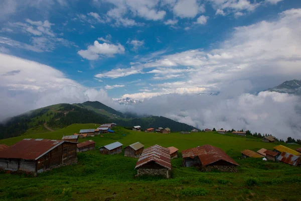 Kakar dağları ve chaletler, doğal yaşam..