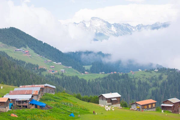 Kakar dağları ve chaletler, doğal yaşam..