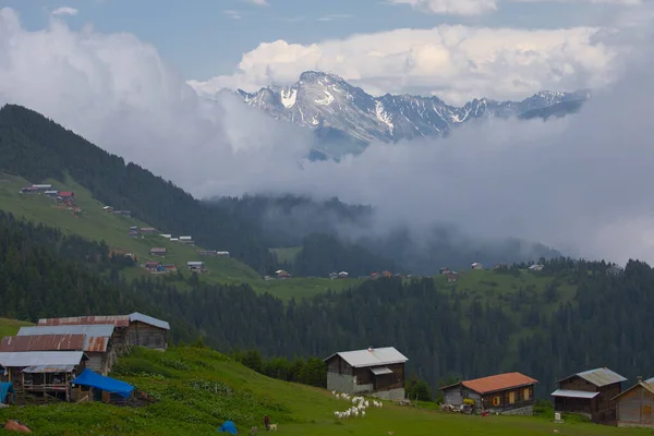 Kakar dağları ve chaletler, doğal yaşam..