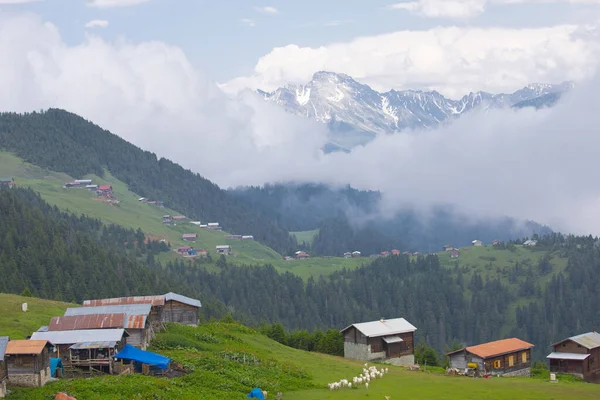 Kakar dağları ve chaletler, doğal yaşam..