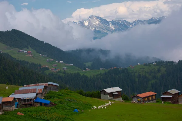 Kakar dağları ve chaletler, doğal yaşam..