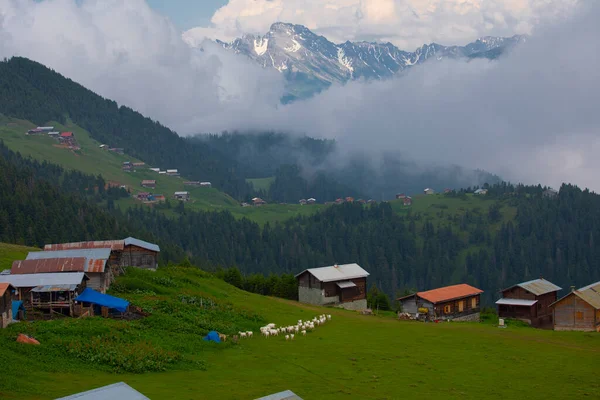 Kakar dağları ve chaletler, doğal yaşam..