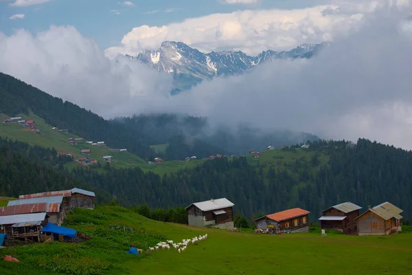 Kakar dağları ve chaletler, doğal yaşam..