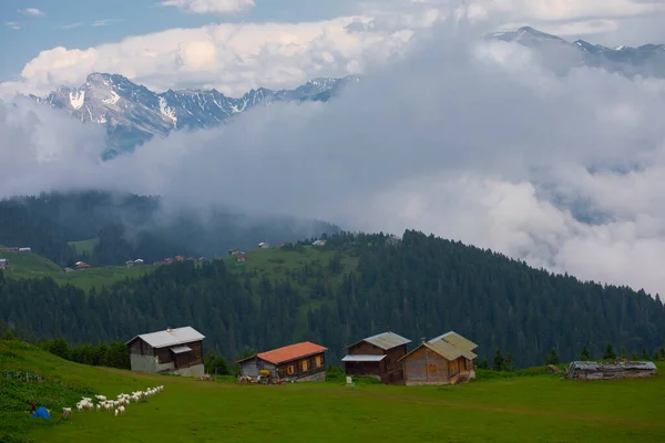 Montagnes Chalets Kakar Vie Naturelle — Photo