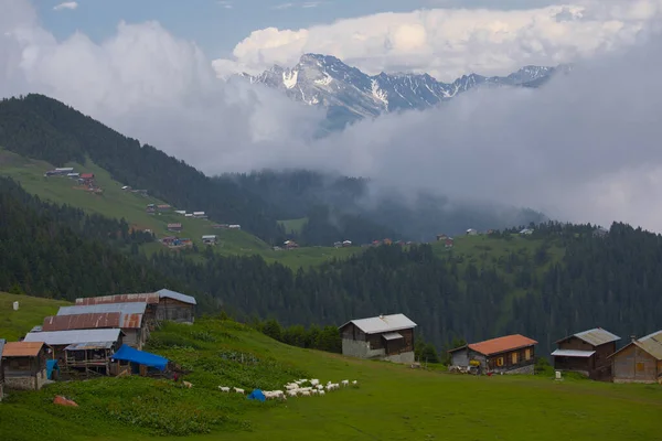 Kakar dağları ve chaletler, doğal yaşam..