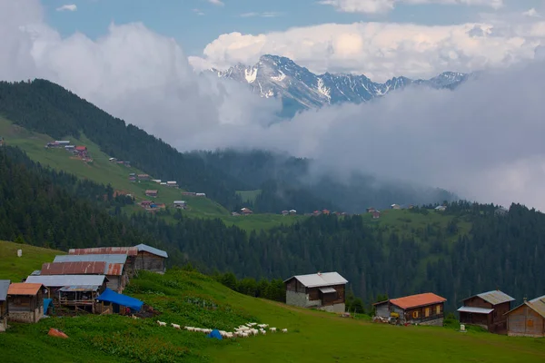 Kakar dağları ve chaletler, doğal yaşam..