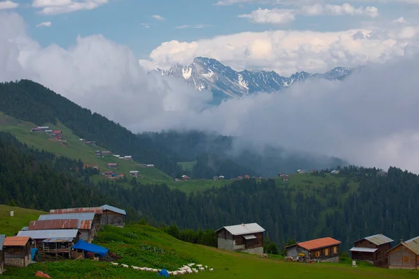 Kakar Mountains Chalets Natural Life — Stock Photo, Image