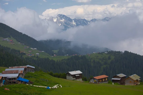 Kakar dağları ve chaletler, doğal yaşam..
