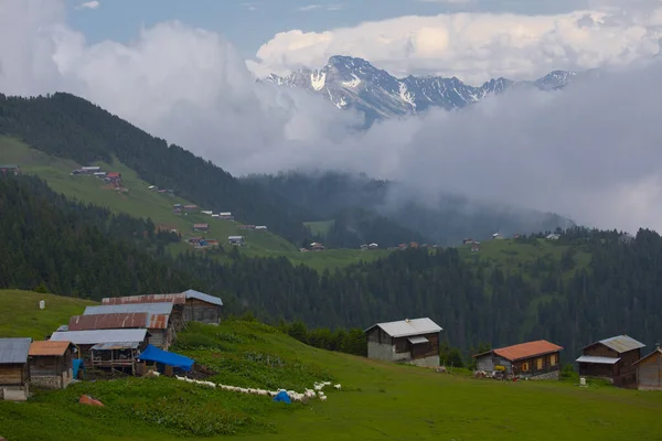 Kakar dağları ve chaletler, doğal yaşam..