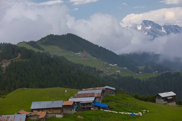 Kakar Bergen Chalets Natuurlijk Leven — Stockfoto