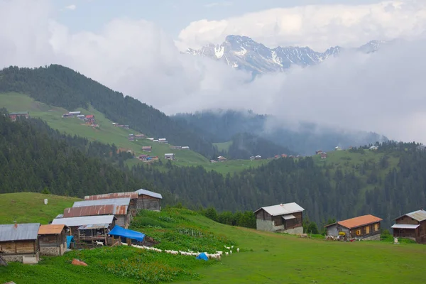 Kakar Bergen Chalets Natuurlijk Leven — Stockfoto