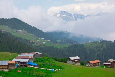 Kakar dağları ve chaletler, doğal yaşam..