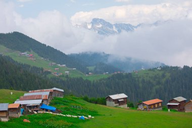Kakar dağları ve chaletler, doğal yaşam..