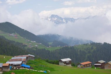 Kakar dağları ve chaletler, doğal yaşam..