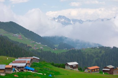 Kakar dağları ve chaletler, doğal yaşam..