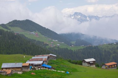 Kakar dağları ve chaletler, doğal yaşam..