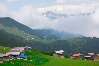 Kakar dağları ve chaletler, doğal yaşam..