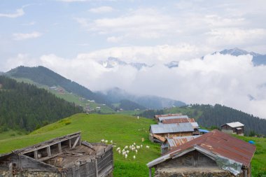 Kakar dağları ve chaletler, doğal yaşam..