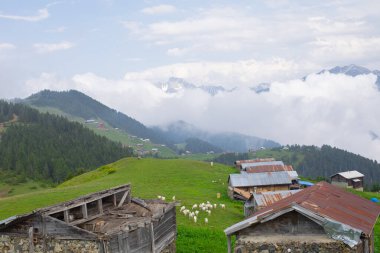 Kakar dağları ve chaletler, doğal yaşam..