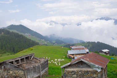 Kakar dağları ve chaletler, doğal yaşam..