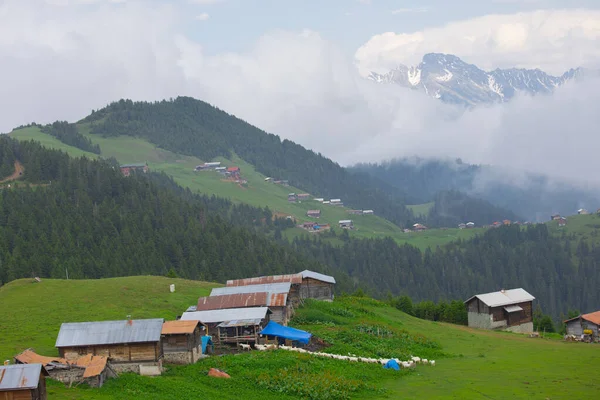 Kakar dağları ve chaletler, doğal yaşam..