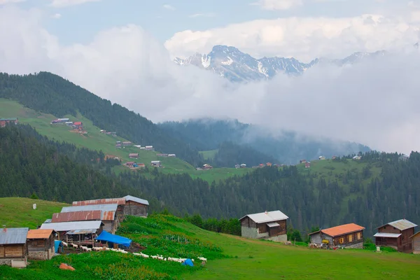 Kakar dağları ve chaletler, doğal yaşam..