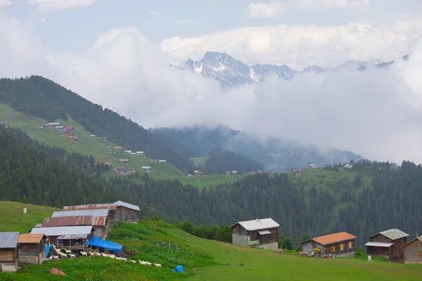 Kakar Bergen Chalets Natuurlijk Leven — Stockfoto