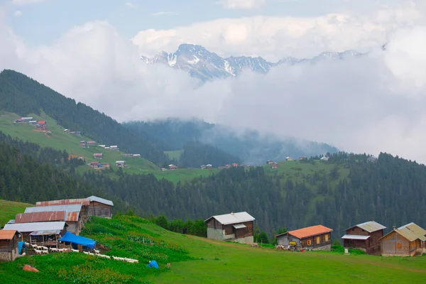 Montañas Chalets Kakar Vida Natural — Foto de Stock