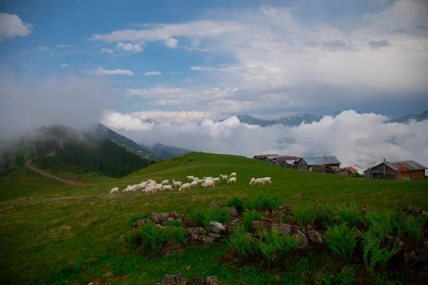 Montañas Chalets Kakar Vida Natural — Foto de Stock