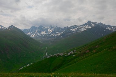 Doğada yaşam taş köprüler ve Kackar dağlarında